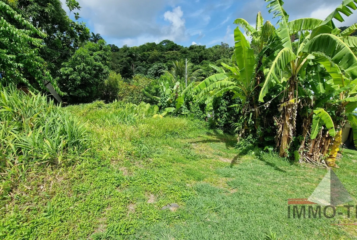 Terrain constructible au Robert de 407 m² en vente - Opportunité rare en Martinique 