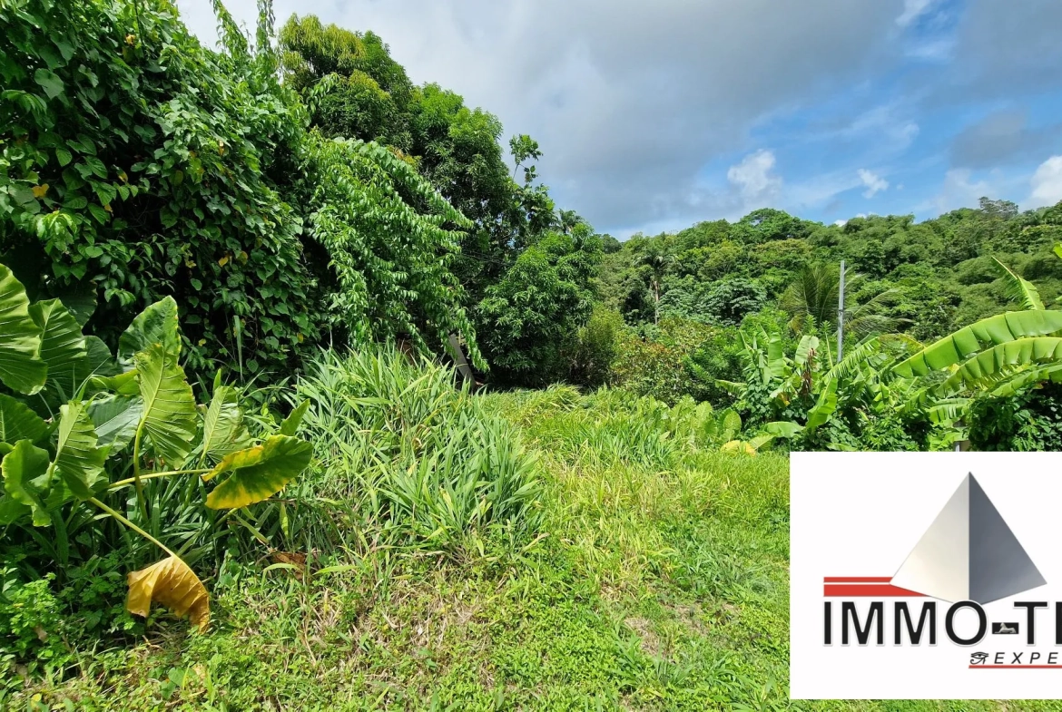 Terrain constructible au Robert de 407 m² en vente - Opportunité rare en Martinique 