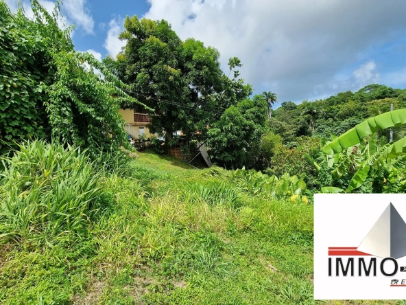 Terrain constructible au Robert de 407 m² en vente - Opportunité rare en Martinique