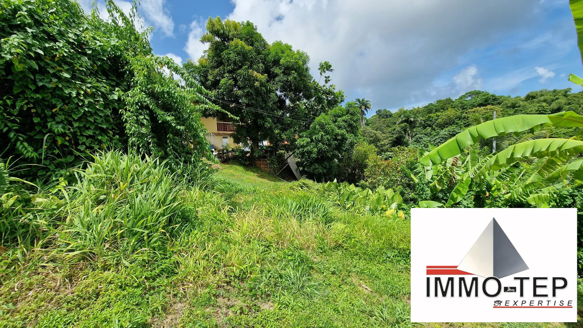 Terrain constructible au Robert de 407 m² en vente - Opportunité rare en Martinique 