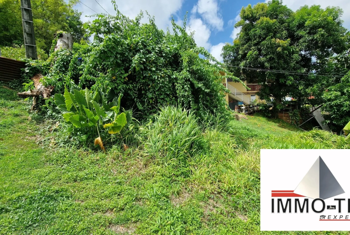 Terrain constructible au Robert de 407 m² en vente - Opportunité rare en Martinique 