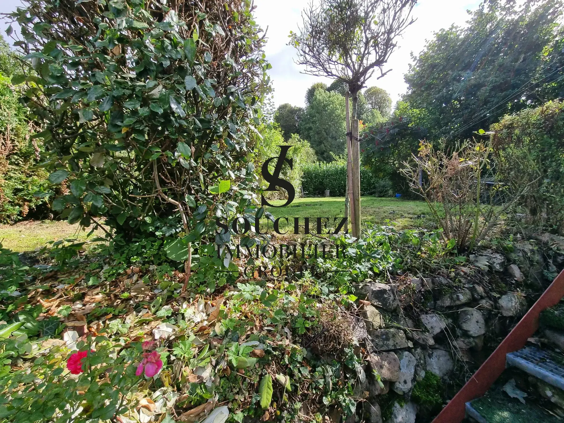 Maison en pierres blanches rénovée à Mont-Saint-Eloi - Jardin et Veranda 