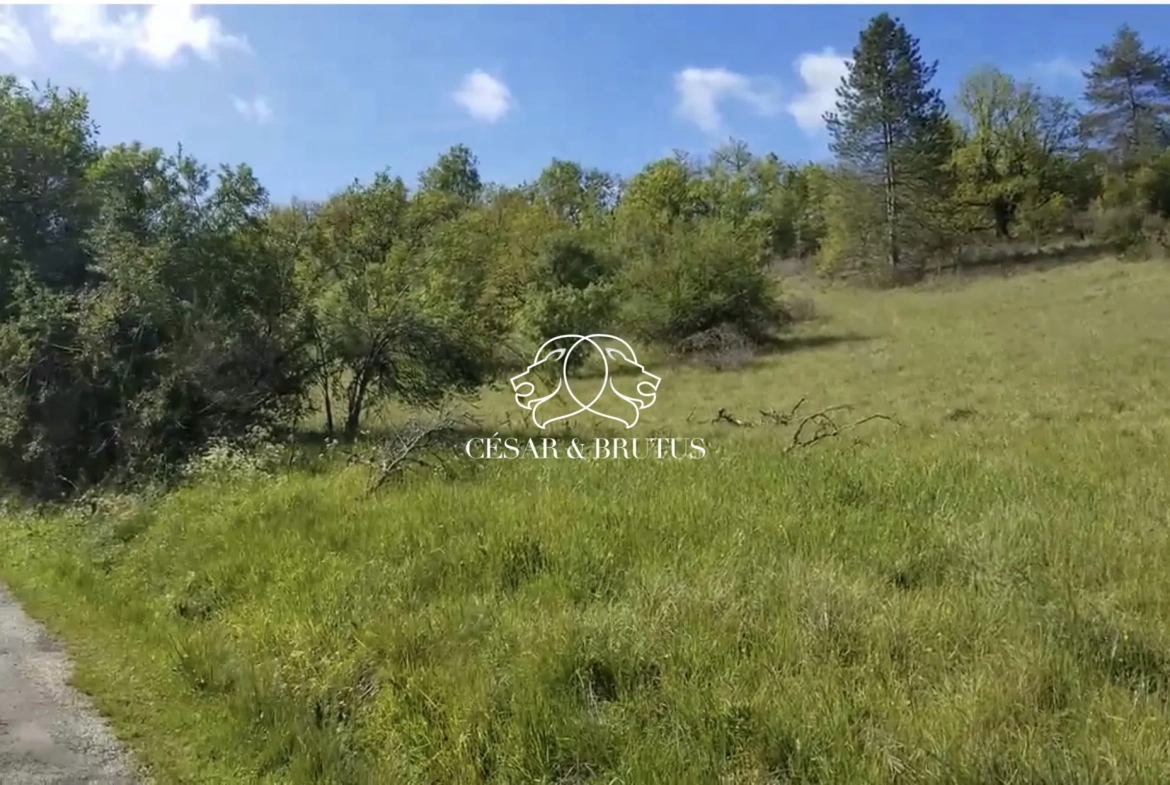 Terrain constructible à Calmane de 15700 m² avec lot à bâtir près des commodités 