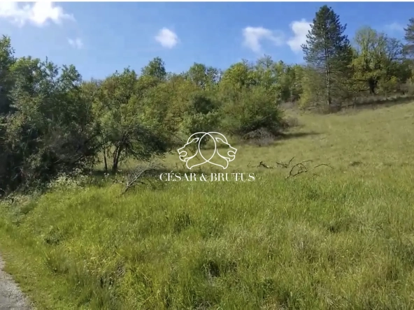Terrain constructible à Calmane de 15700 m² avec lot à bâtir près des commodités