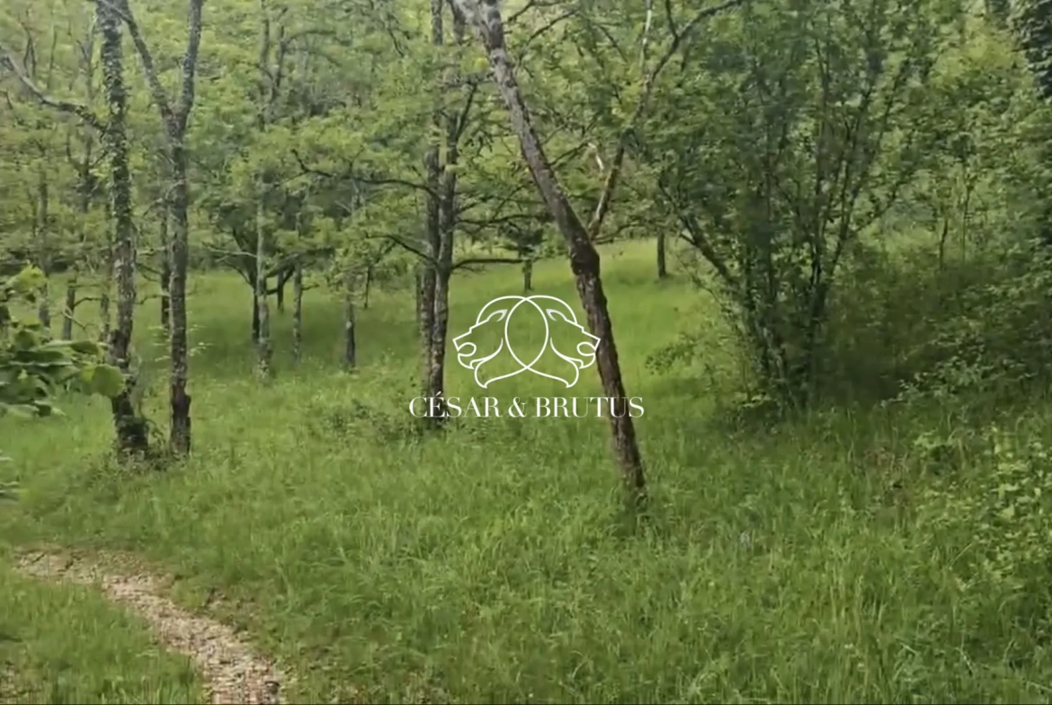 Terrain constructible à Calmane de 15700 m² avec lot à bâtir près des commodités 