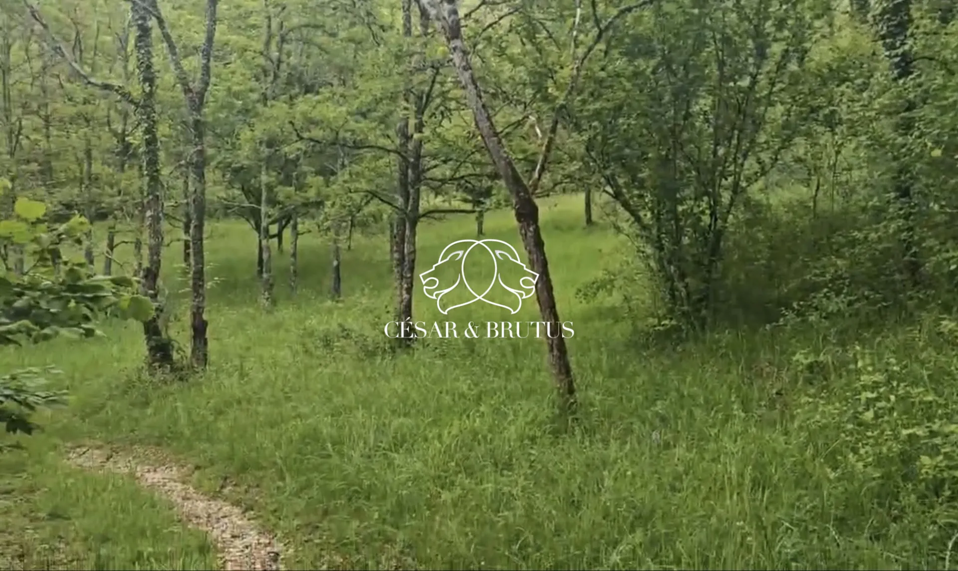 Terrain constructible à Calmane de 15700 m² avec lot à bâtir près des commodités 