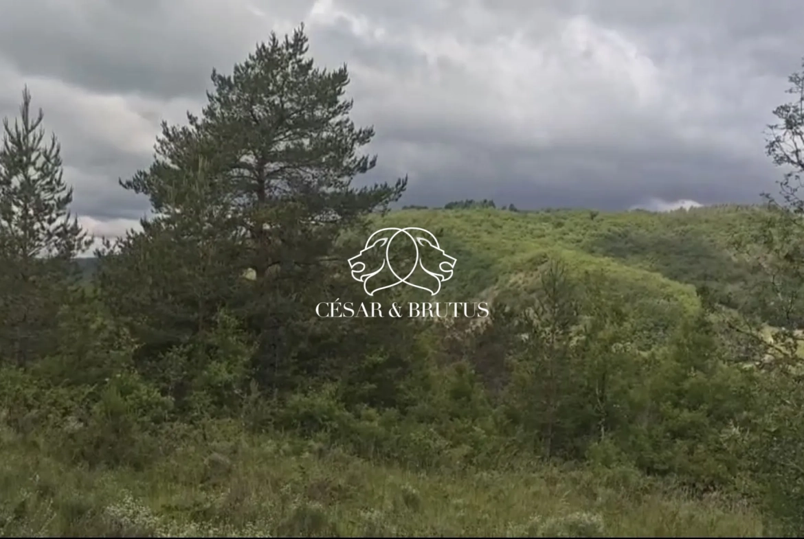 Terrain constructible à Calmane de 15700 m² avec lot à bâtir près des commodités 