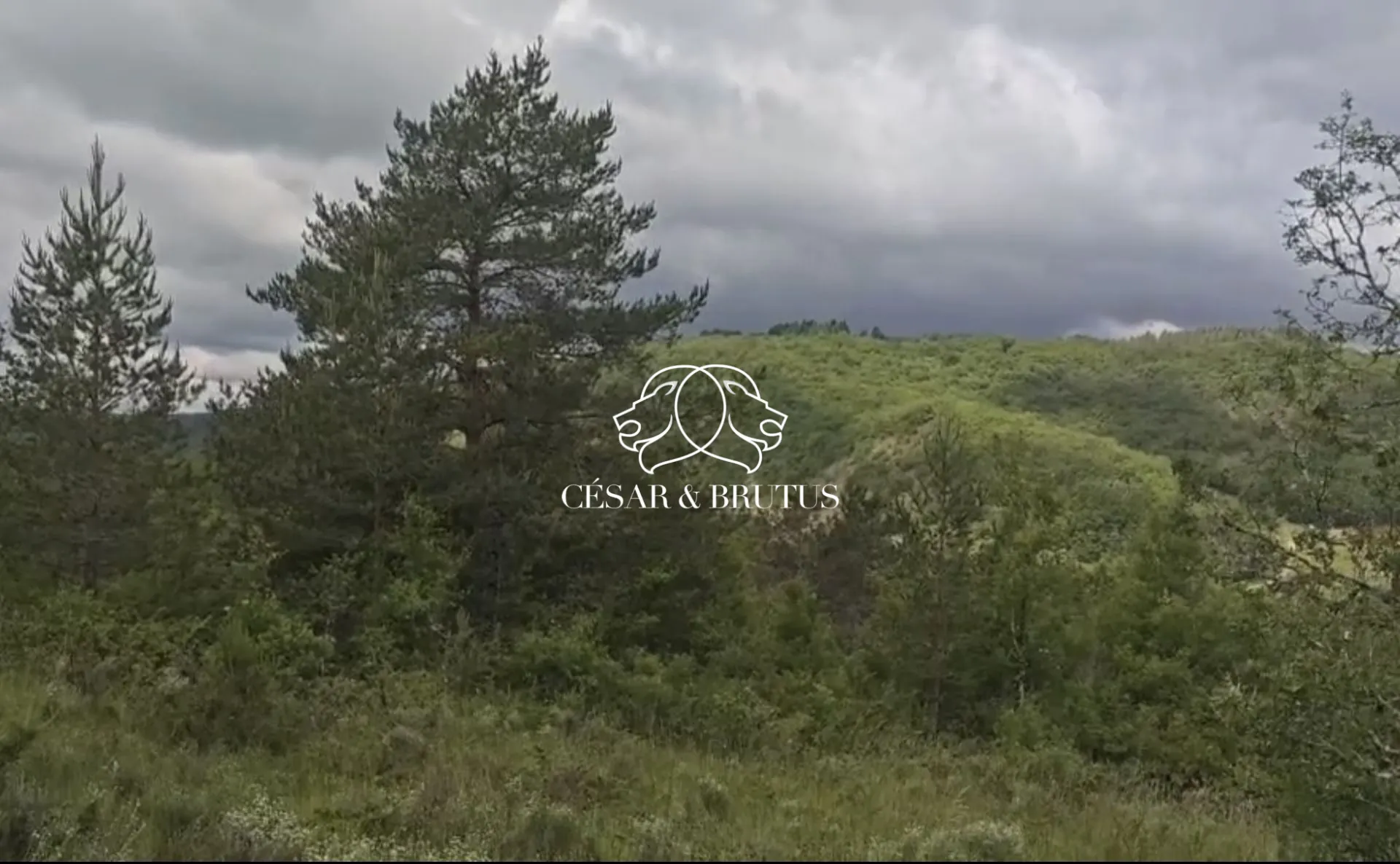 Terrain constructible à Calmane de 15700 m² avec lot à bâtir près des commodités 