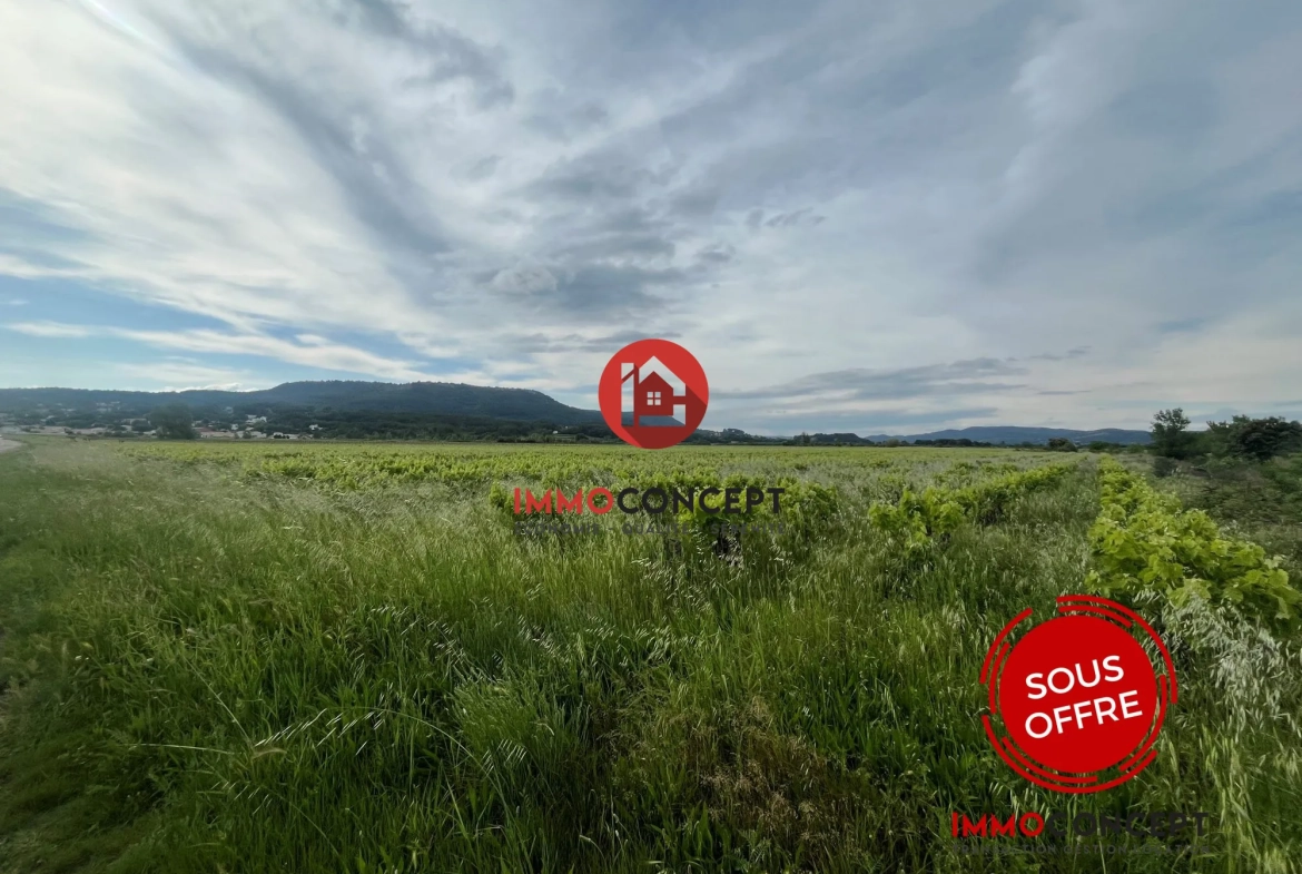 Terrain agricole à vendre à Laudun-l'Ardoise - 4500 m² 