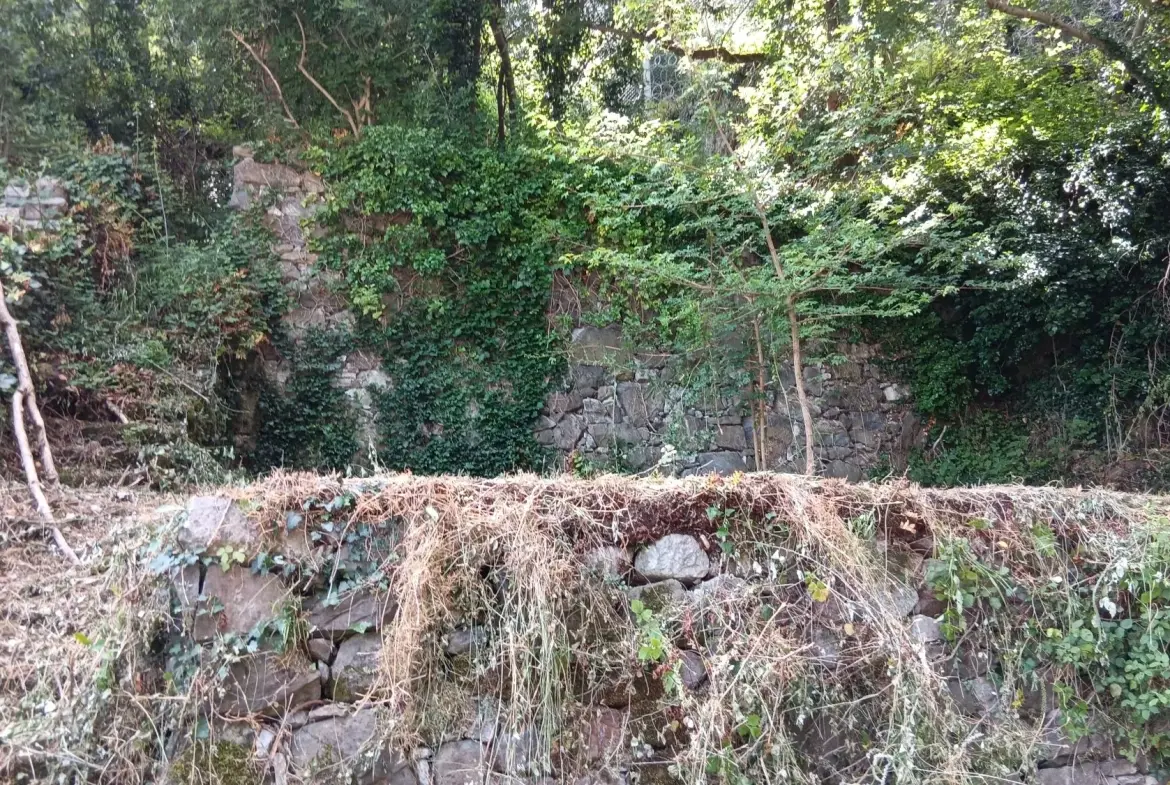 Maison à vendre avec vue sur les montagnes à Saint-Béat-Lez - 180 m² à rénover 