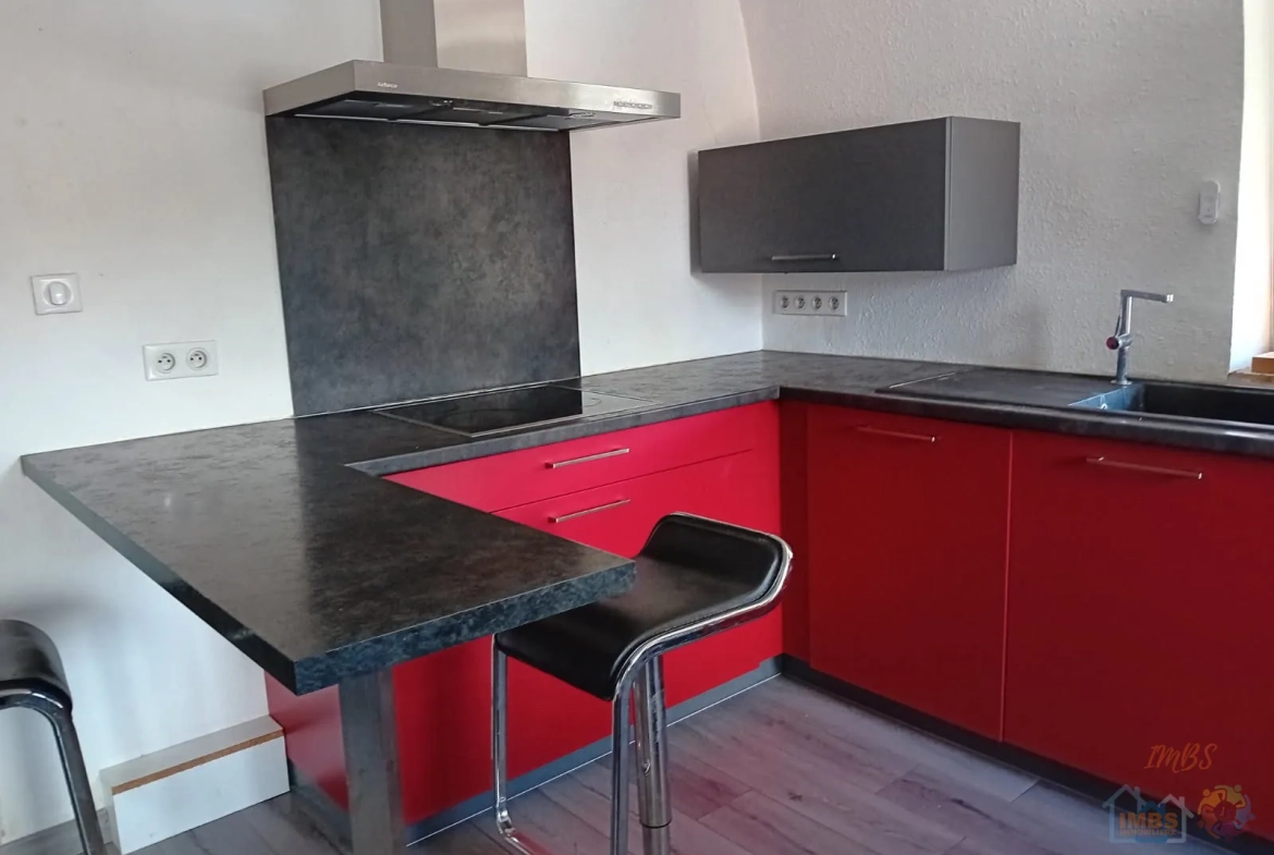 Appartement T3 avec jardin privé à Mulhouse - Charmant et lumineux 