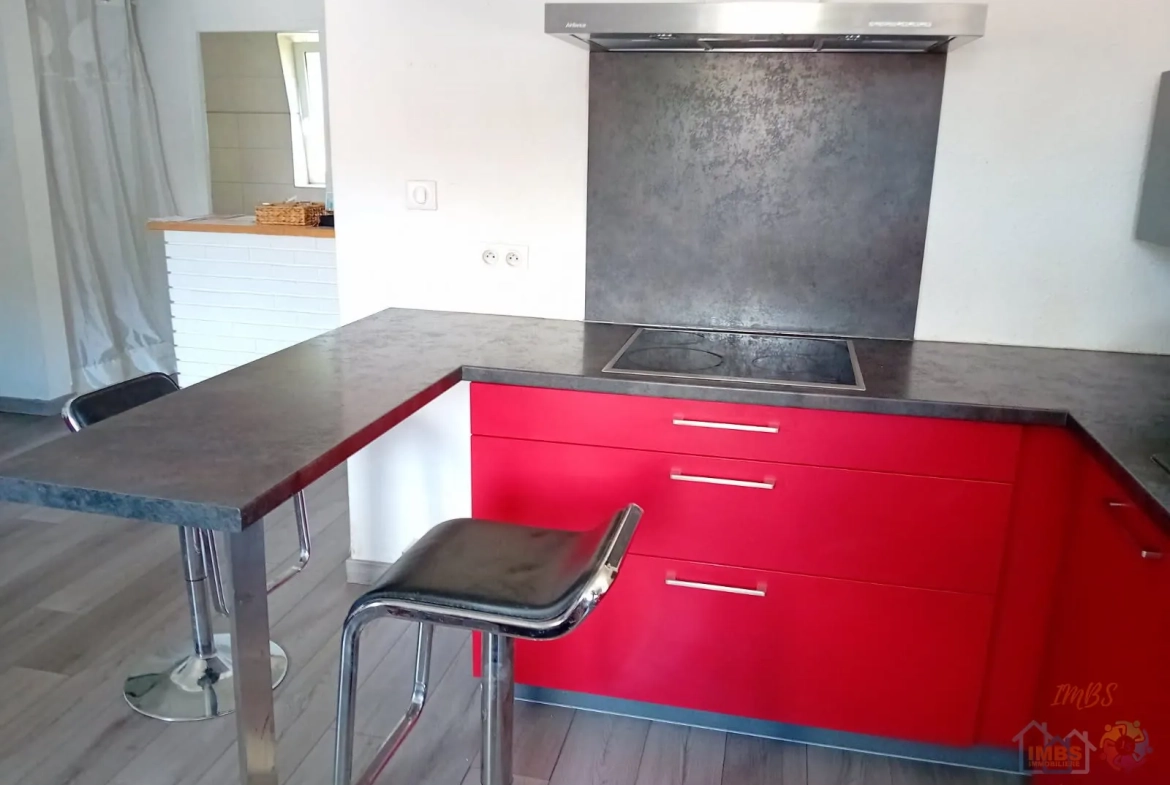 Appartement T3 avec jardin privé à Mulhouse - Charmant et lumineux 