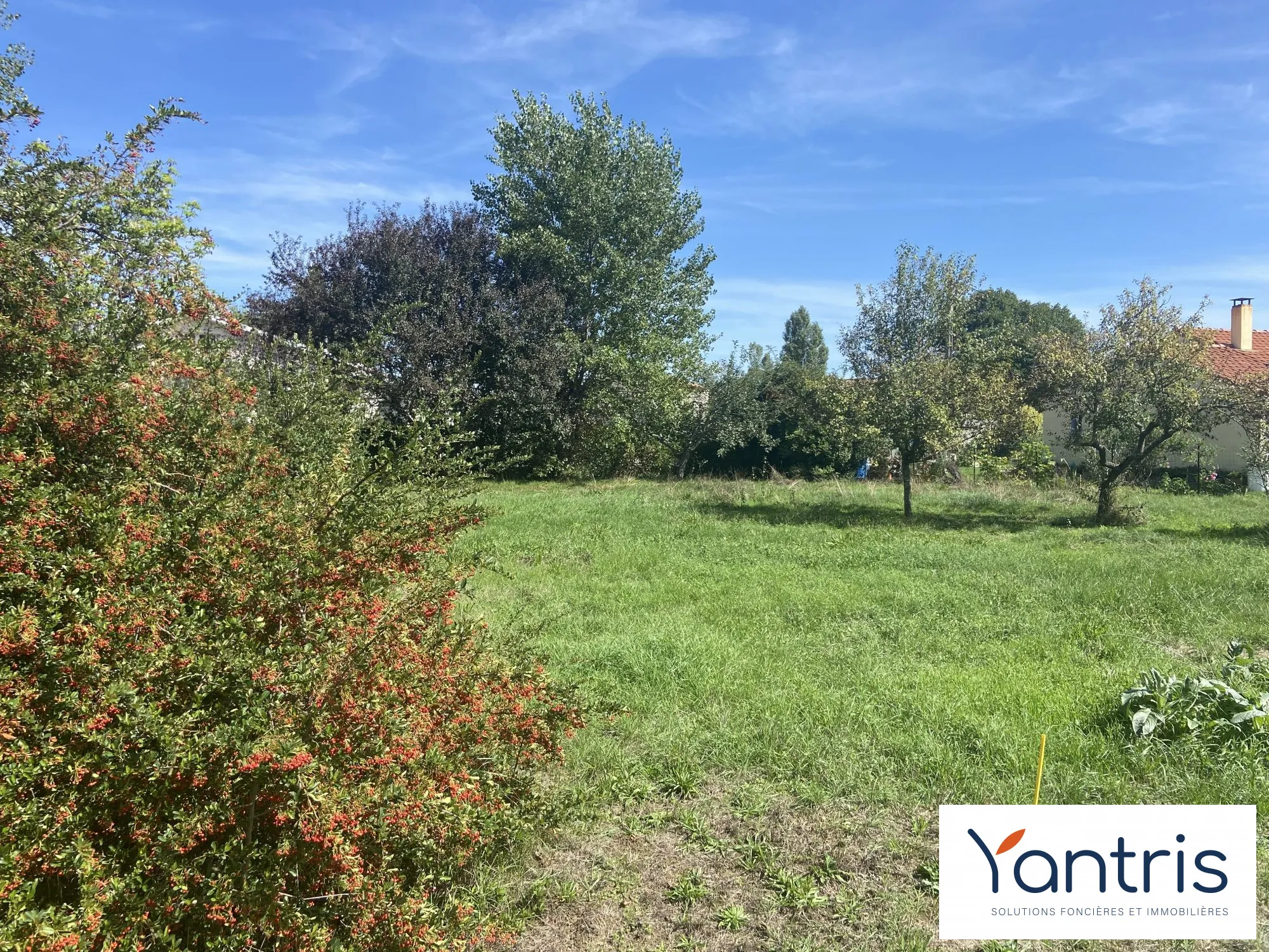 Terrain arboré à vendre à Eaunes de 890 m², environnement calme et proche des commodités 