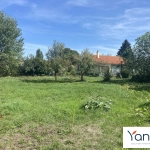 Terrain arboré à vendre à Eaunes de 890 m², environnement calme et proche des commodités