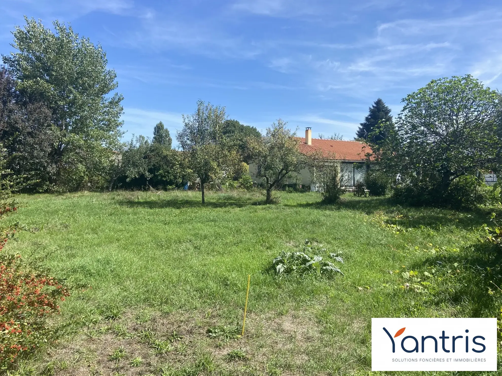 Terrain arboré à vendre à Eaunes de 890 m², environnement calme et proche des commodités 