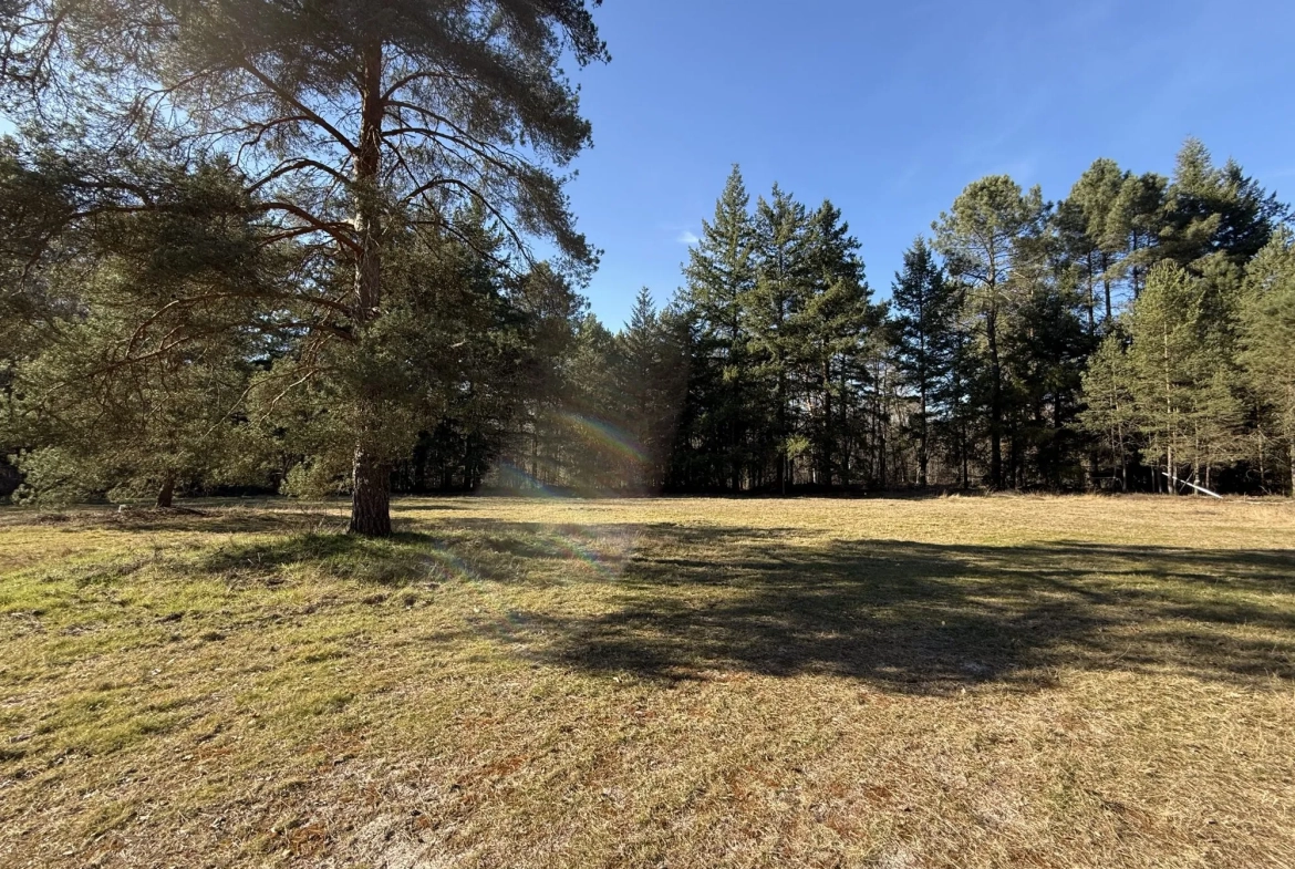 Terrain de 2 hectares avec boxes et maisonnette à Neuvy-sur-Barangeon 