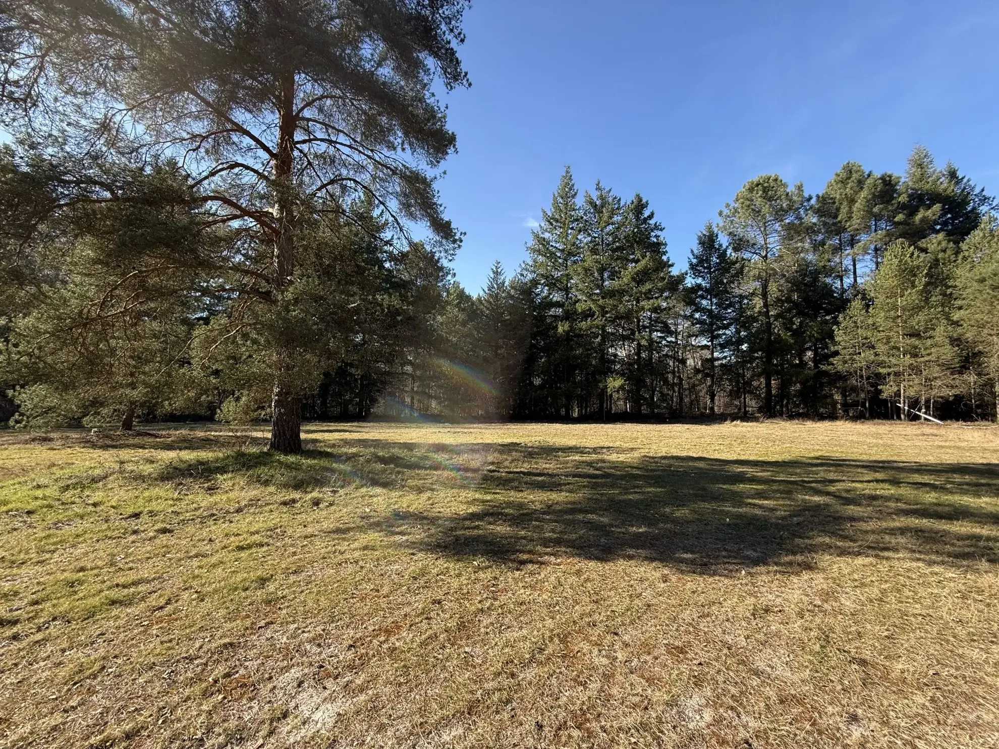Terrain de 2 hectares avec boxes et maisonnette à Neuvy-sur-Barangeon 