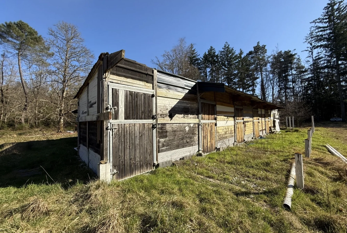 Terrain de 2 hectares avec boxes et maisonnette à Neuvy-sur-Barangeon 