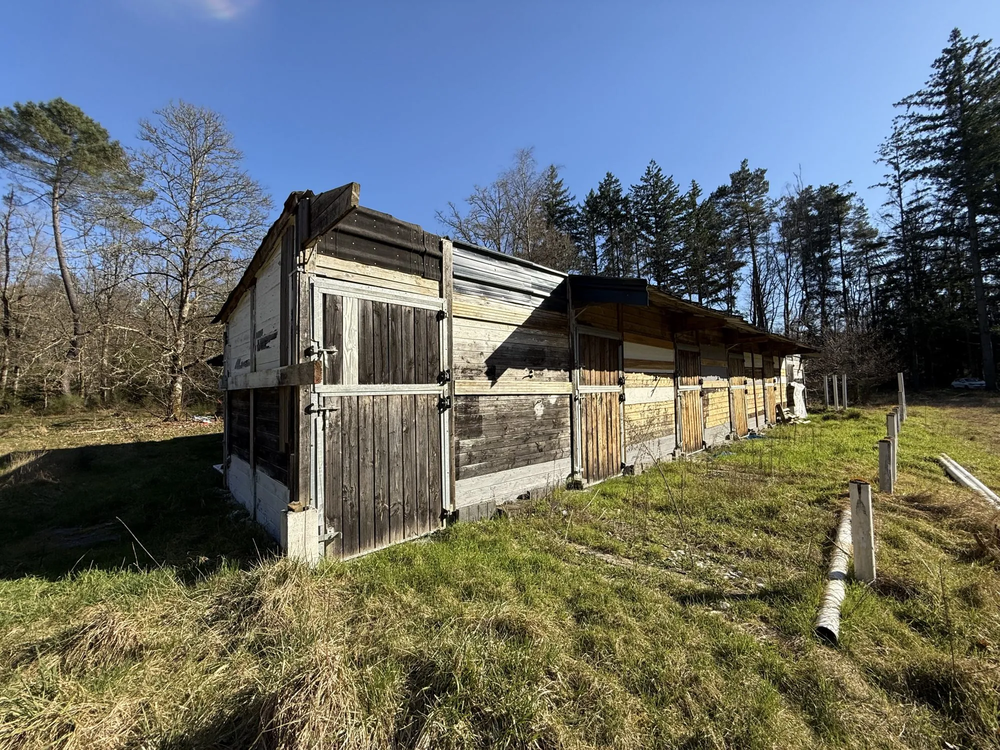 Terrain de 2 hectares avec boxes et maisonnette à Neuvy-sur-Barangeon 