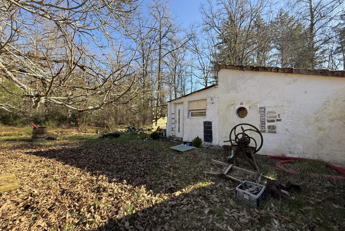 Terrain de 2 hectares avec boxes et maisonnette à Neuvy-sur-Barangeon 