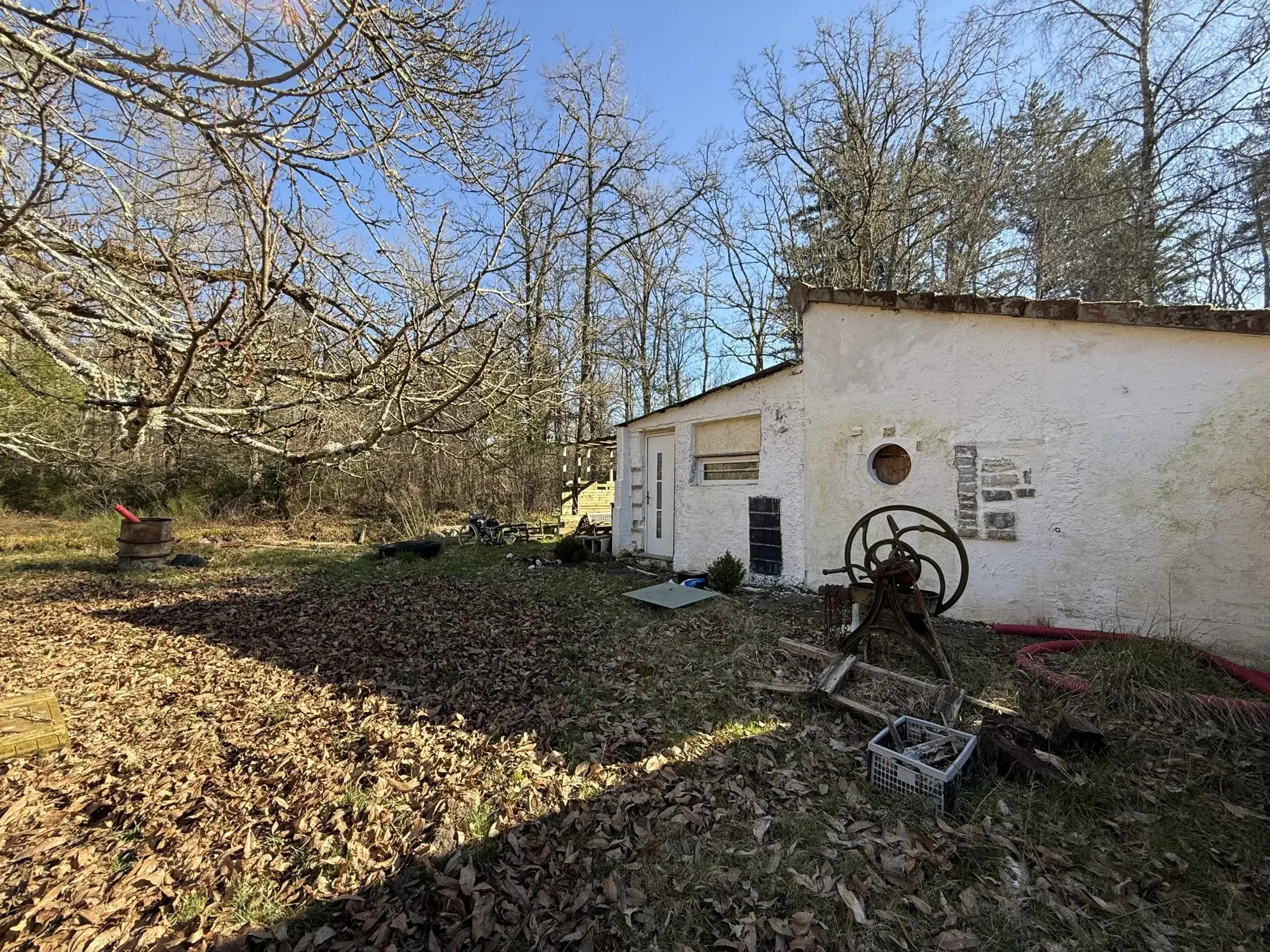 Terrain de 2 hectares avec boxes et maisonnette à Neuvy-sur-Barangeon 
