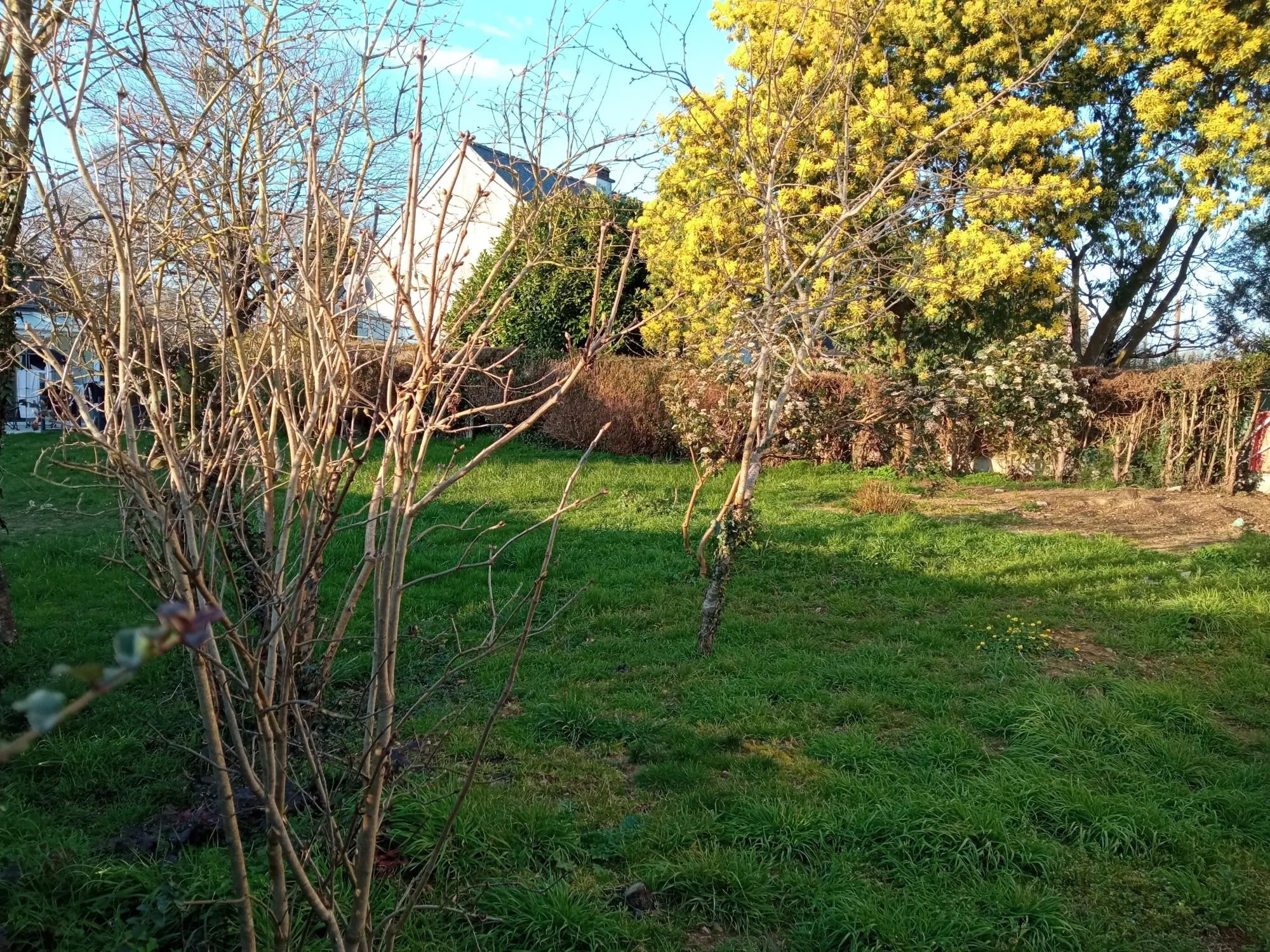 Terrain constructible à vendre à Bruz, proche commodités, offre rare 