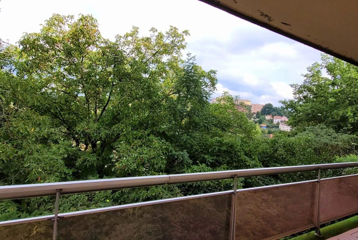 Souplex à Saint-Dié-des-Vosges avec balcon, cave et garage - 3 chambres 