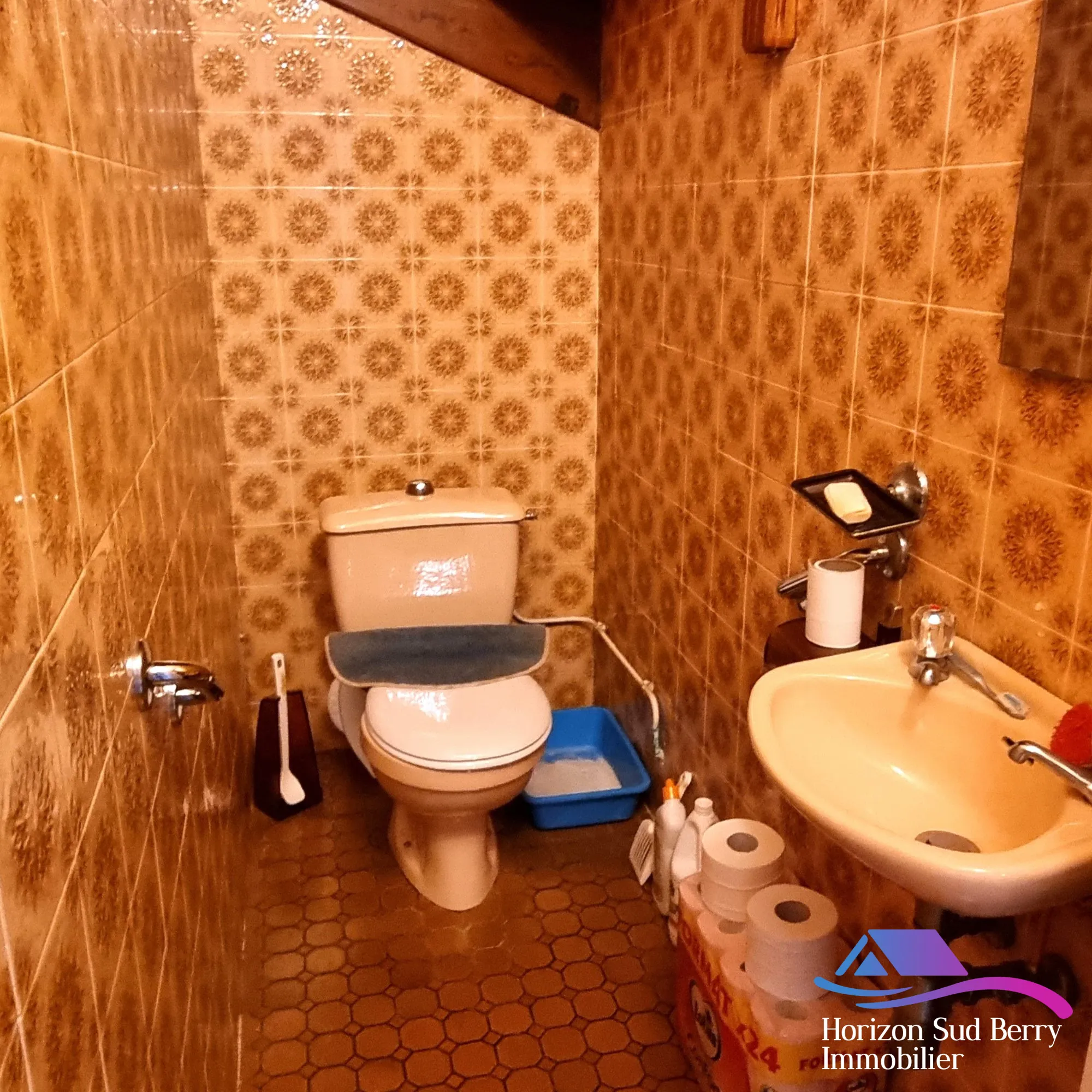 WC RDC Maison à vendre à Saint-Denis-de-Jouhet avec jardin et garage 