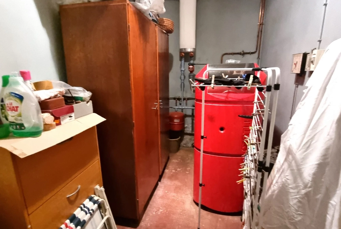 chaufferie avec coin laverie Maison à vendre à Saint-Denis-de-Jouhet avec jardin et garage 