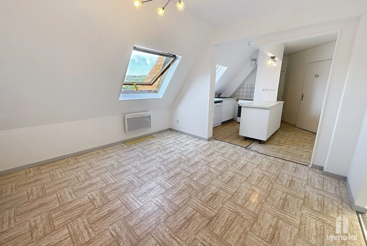 Appartement Duplex T3 à Wasselonne de 56,60 m² avec parking et cave 