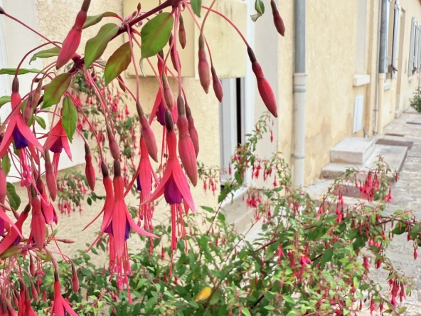 Maison à Dampierre-en-Burly avec 3 chambres, pièce lumineuse et jardin - Investissement ou résidence paisible