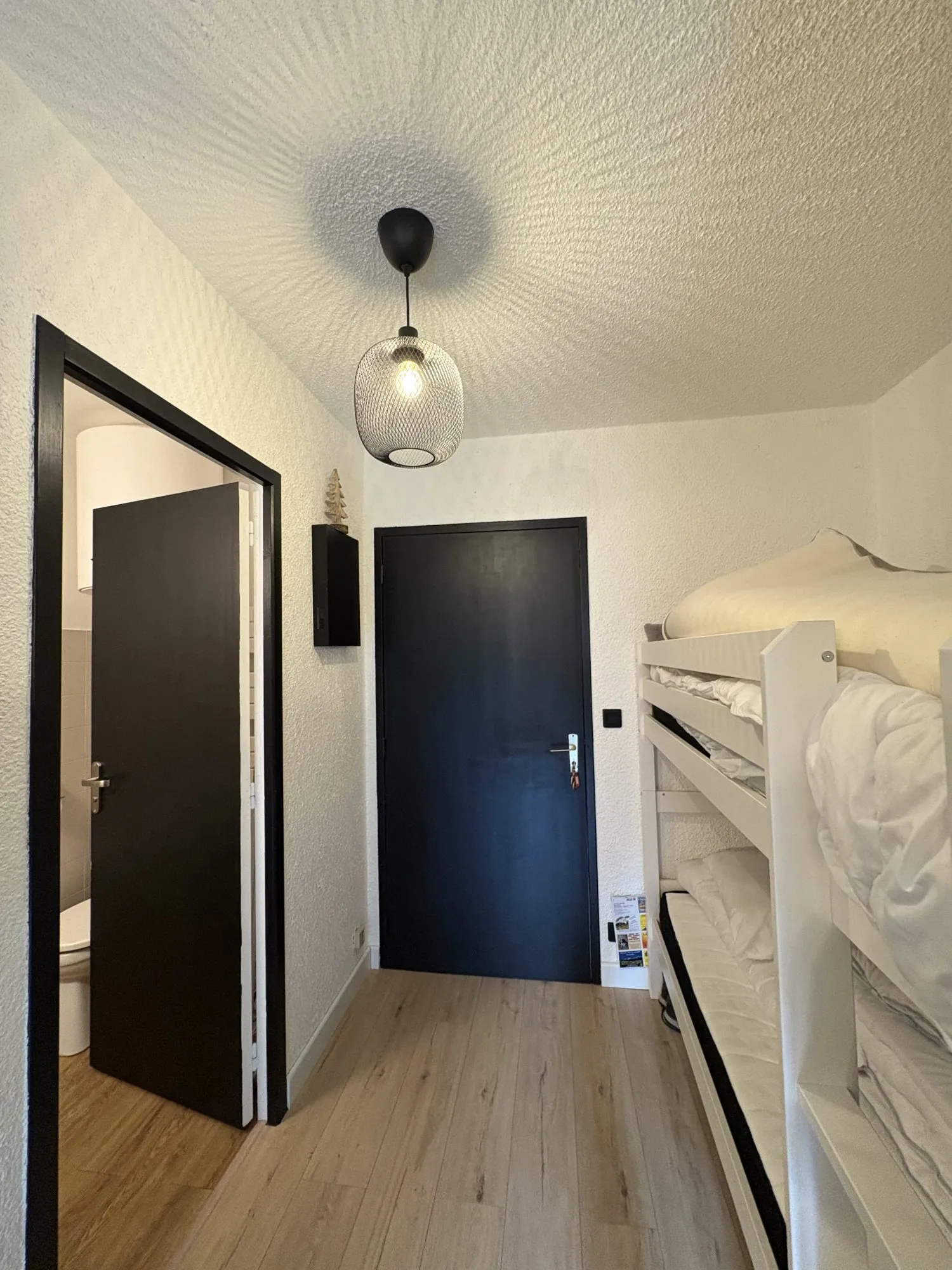 Entrée et coin montagne Studio en Rez-de-Chaussée à Montclar avec Balcon et Cave à Vendre 