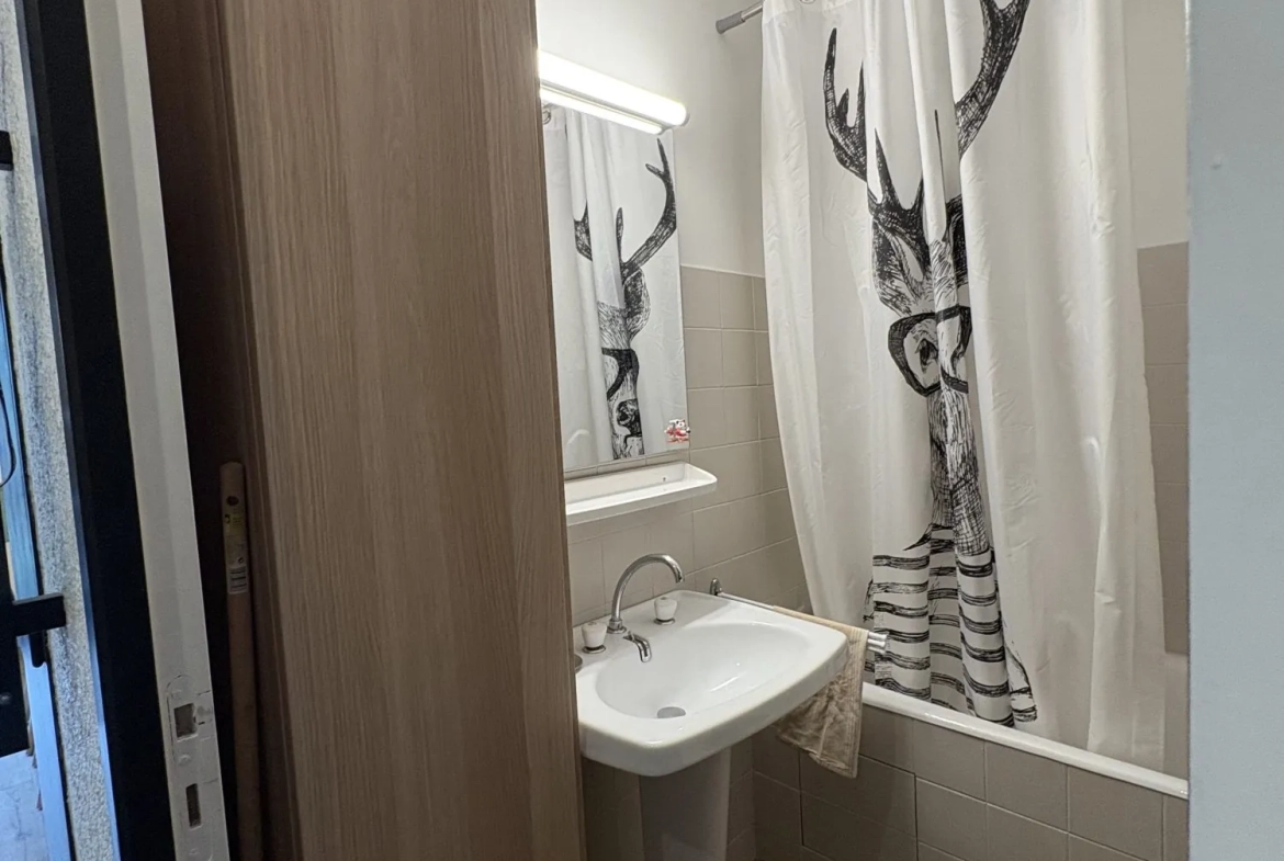 Salle de bain  Studio en Rez-de-Chaussée à Montclar avec Balcon et Cave à Vendre 