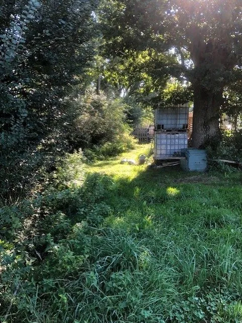 Charmante maison ancienne à vendre à Tennie avec grand terrain et potentiel de rénovation 