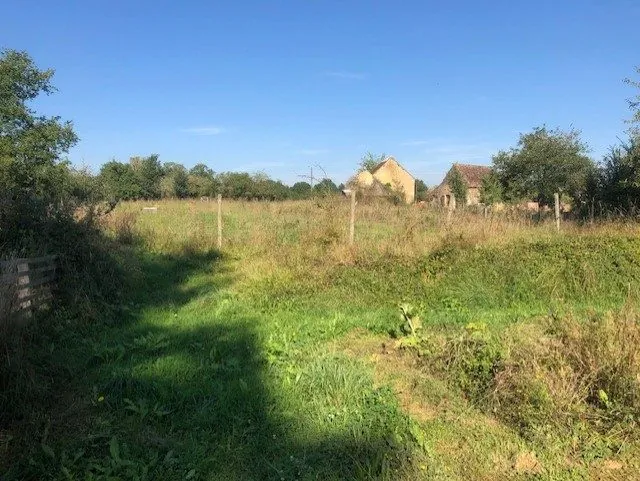 Charmante maison ancienne à vendre à Tennie avec grand terrain et potentiel de rénovation 