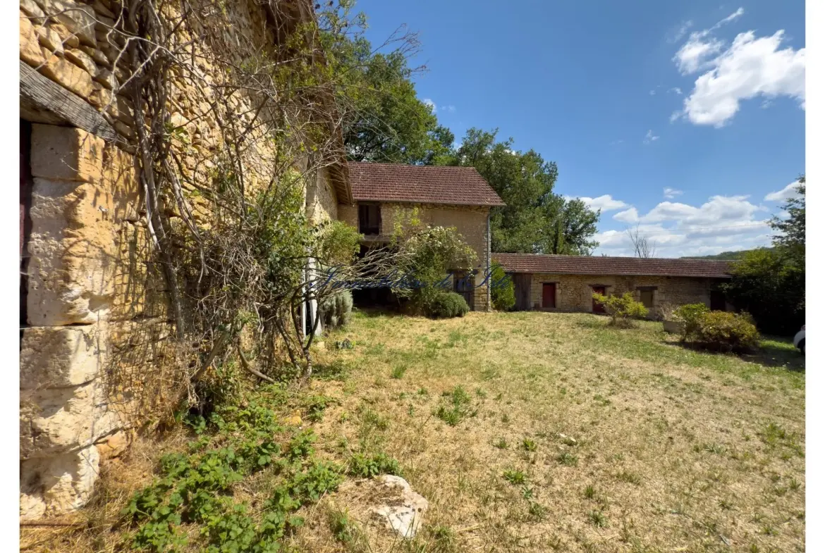 Maison en pierre avec corps de ferme à rénover à Saint-Vincent-sur-l'Isle, 24420 