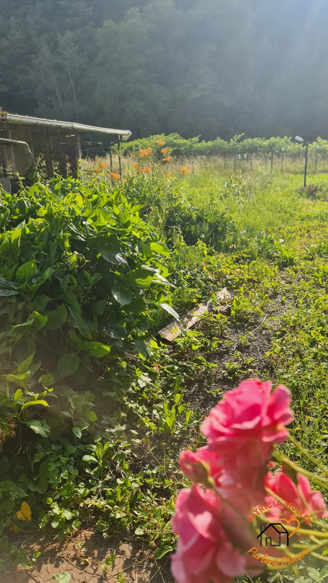 Lot de 2 maisons mitoyennes à rénover à Les Hautes Rivières - Opportunité à saisir 