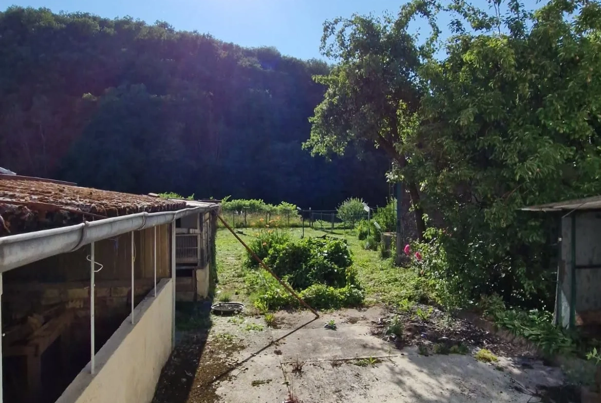 Lot de 2 maisons mitoyennes à rénover à Les Hautes Rivières - Opportunité à saisir 