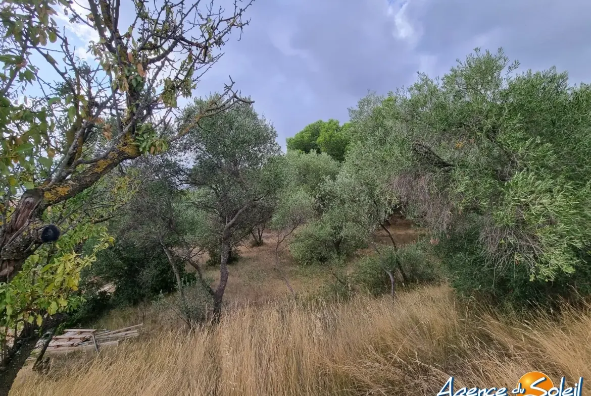 Superbe terrain avec vue dans la pinède à Lézignan-Corbières 