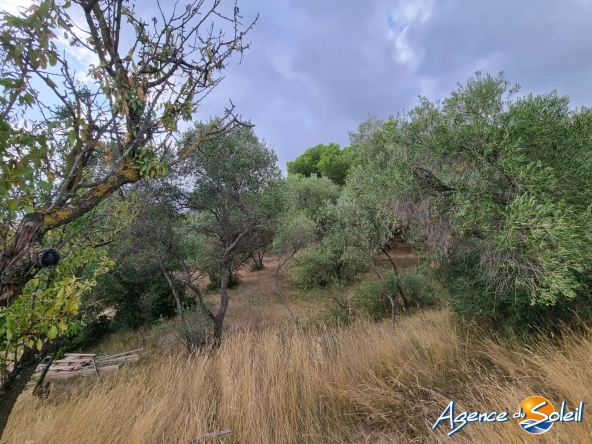 Superbe terrain avec vue dans la pinède à Lézignan-Corbières