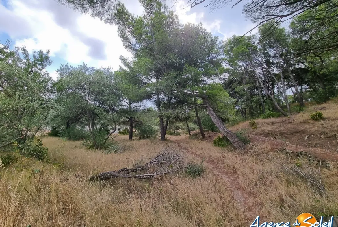 Superbe terrain avec vue dans la pinède à Lézignan-Corbières 