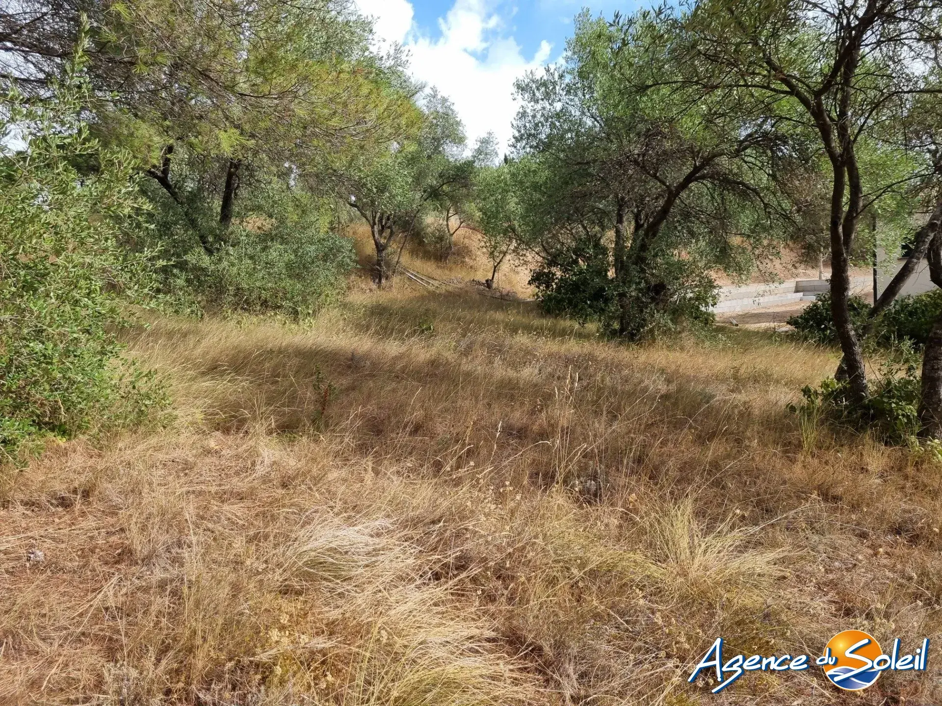 Superbe terrain avec vue dans la pinède à Lézignan-Corbières 