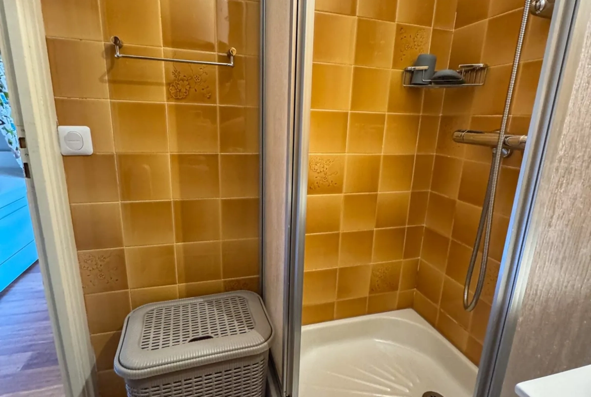 Salle d'eau Studio rénové avec vue sur la montagne à Auron, calme et garage inclus 