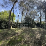Terrain constructible de 707 m² à Monts, viabilisé et proche commodités