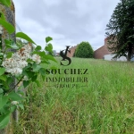 Terrain constructible à Bouvigny-Boyeffles - Projet immobilier idéal