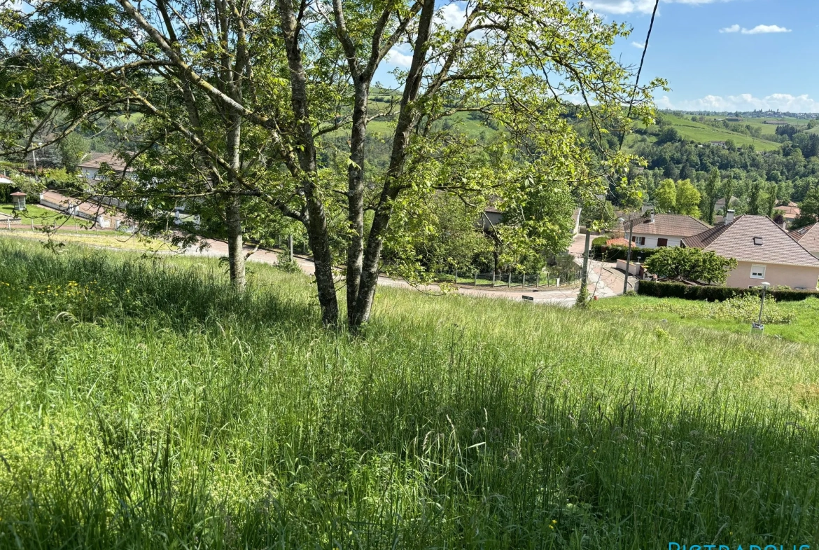 Terrains constructibles avec vue à Régny, proche d'Amplepuis et Roanne 