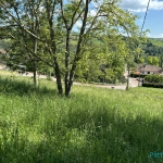 Terrains constructibles avec vue à Régny, proche d'Amplepuis et Roanne