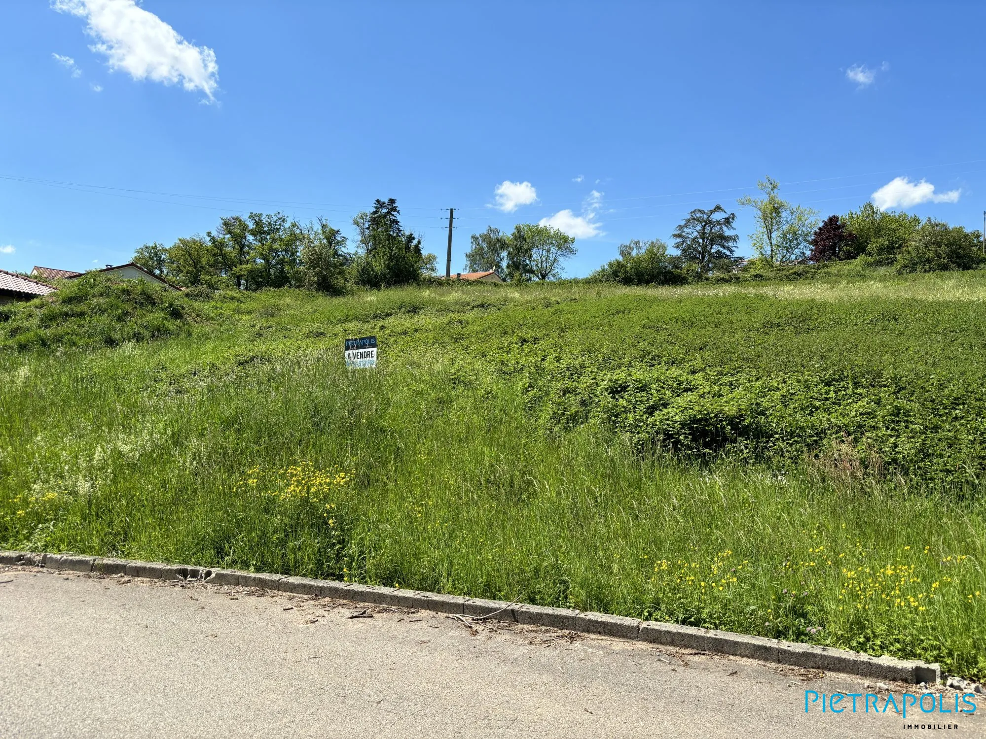Terrains constructibles avec vue à Régny, proche d'Amplepuis et Roanne 