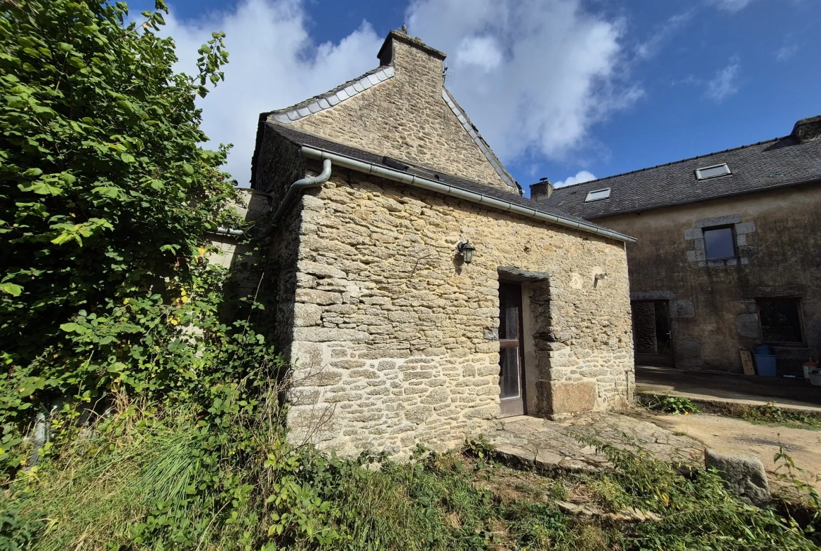 A vendre deux maisons en pierre à la Feuillée - potentiel habitation et terrain attenant 