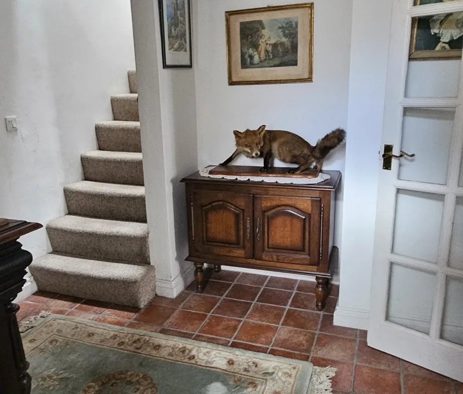 Appartement lumineux avec vue étang à Le Barcarès - Mezzanine et parking 